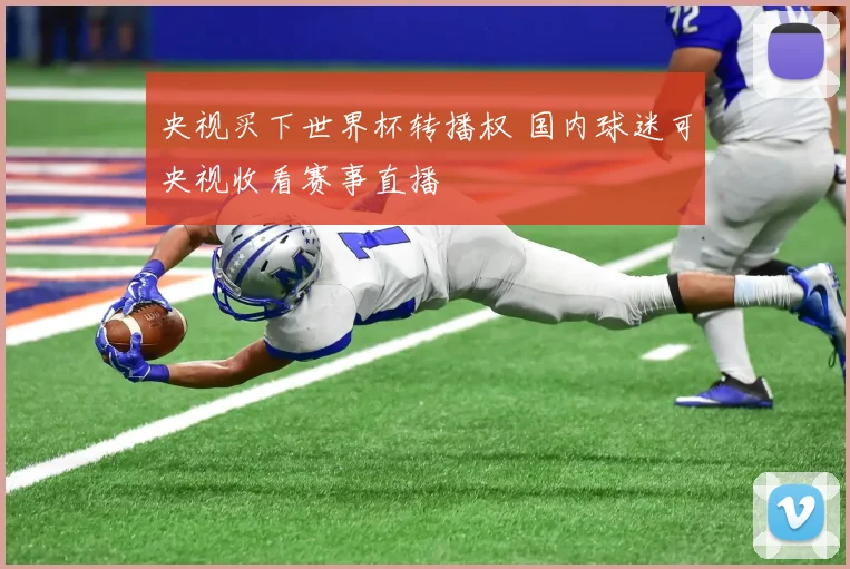央视买下世界杯转播权 国内球迷可央视收看赛事直播